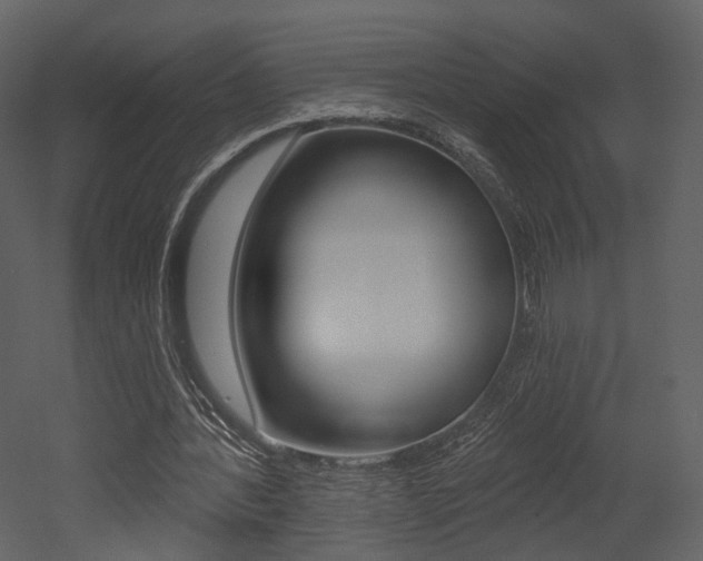 X0000052960388200507080901