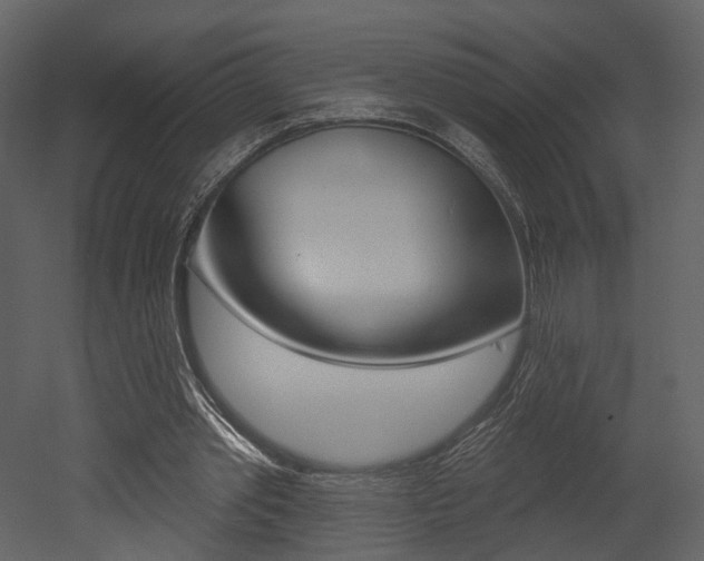 X0000052960389200507080901