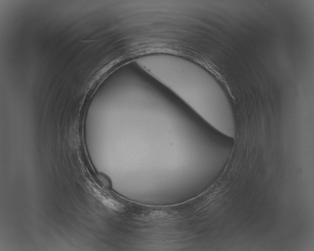 X0000052960390200507080901