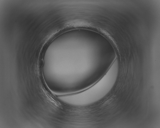 X0000052960391200507080901