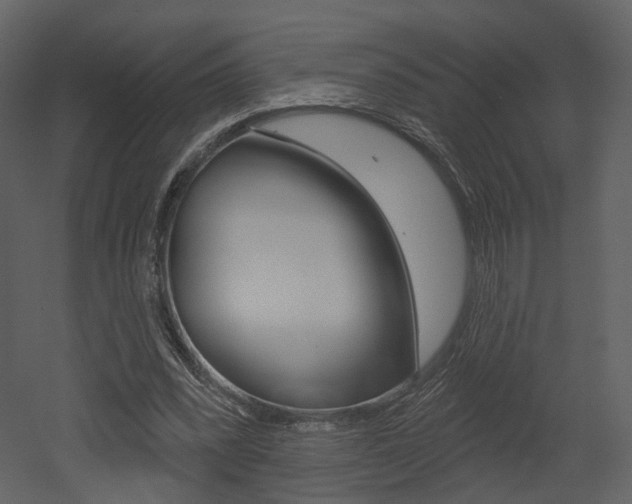 X0000052960392200507080901