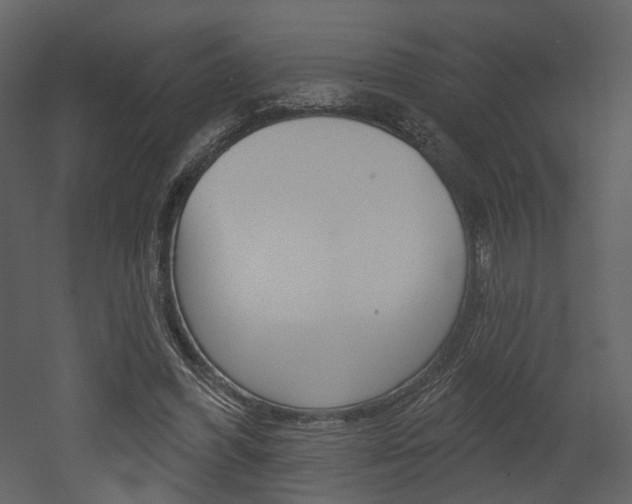 X0000052960396200507080901