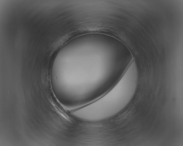 X0000052960397200507080901