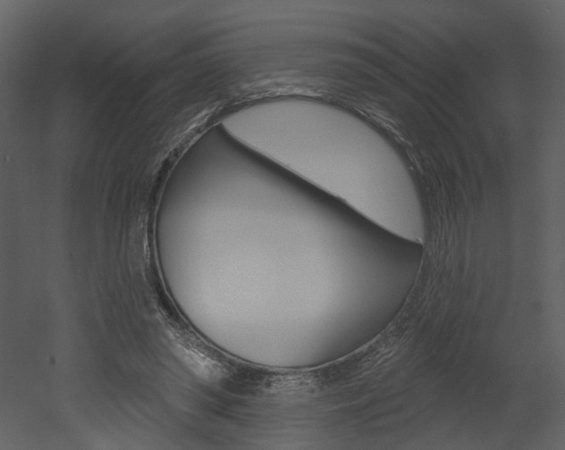 X0000052960398200507080901