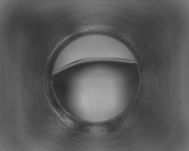 X0000052960400200507080901