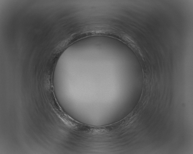 X0000052960401200507080901