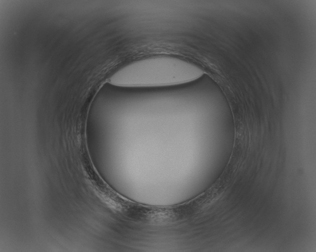 X0000052960402200507080901