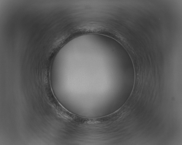 X0000052960403200507080901