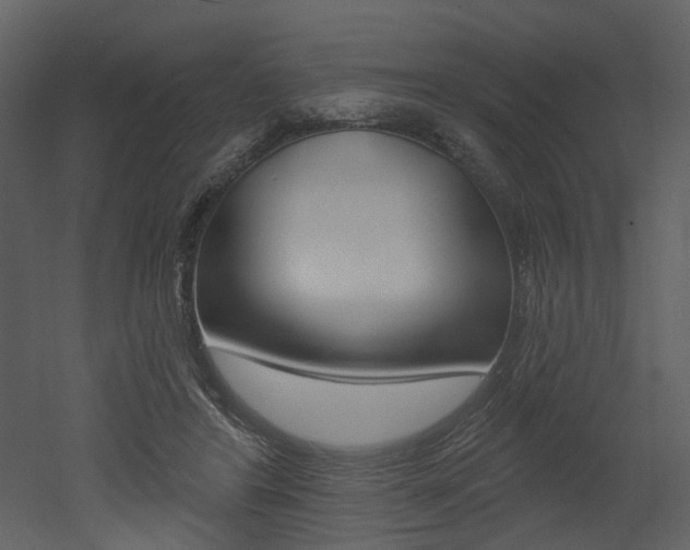 X0000052960404200507080901