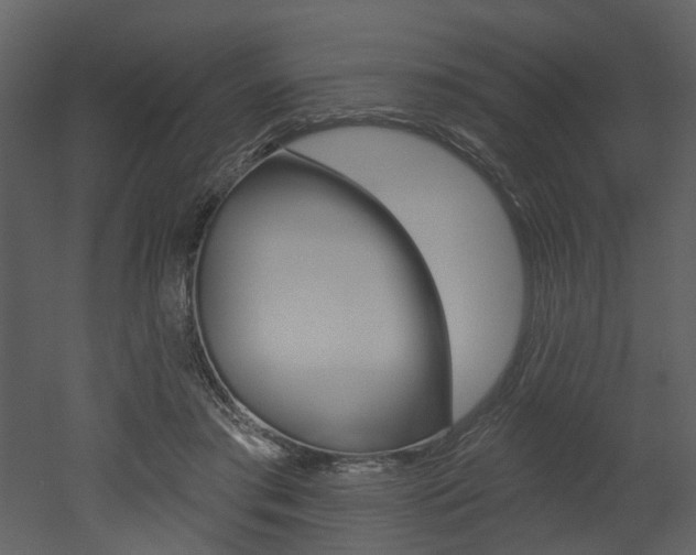 X0000052960405200507080901