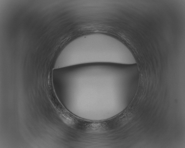 X0000052960406200507080901