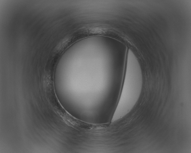 X0000052960407200507080901