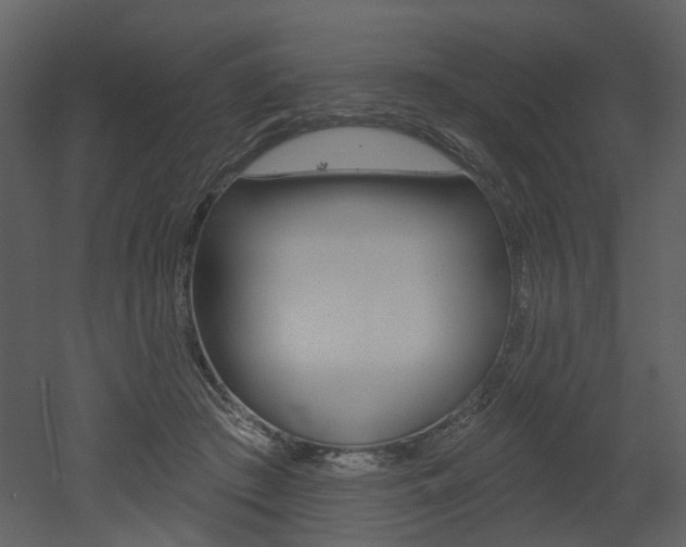 X0000052960409200507080901