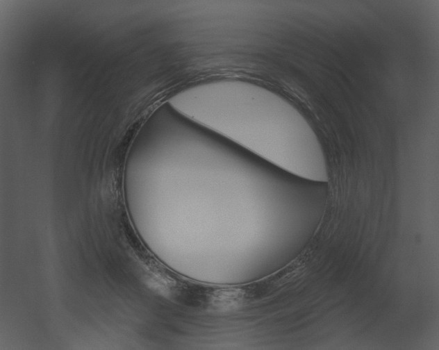 X0000052960410200507080901