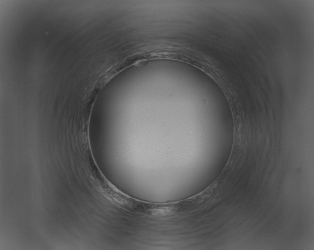 X0000052960411200507080901
