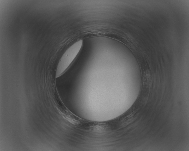 X0000052960412200507080901