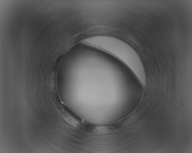 X0000052960413200507080901