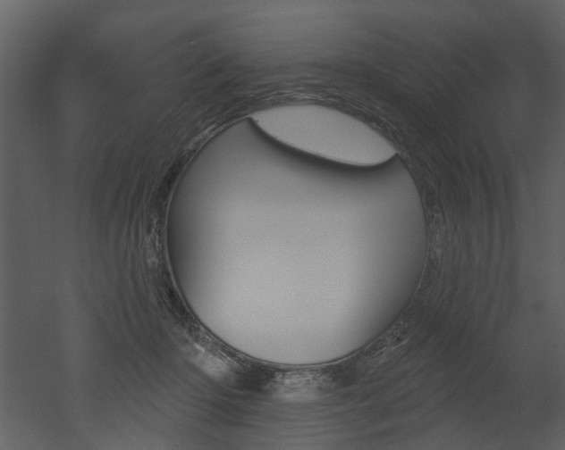 X0000052960414200507080901