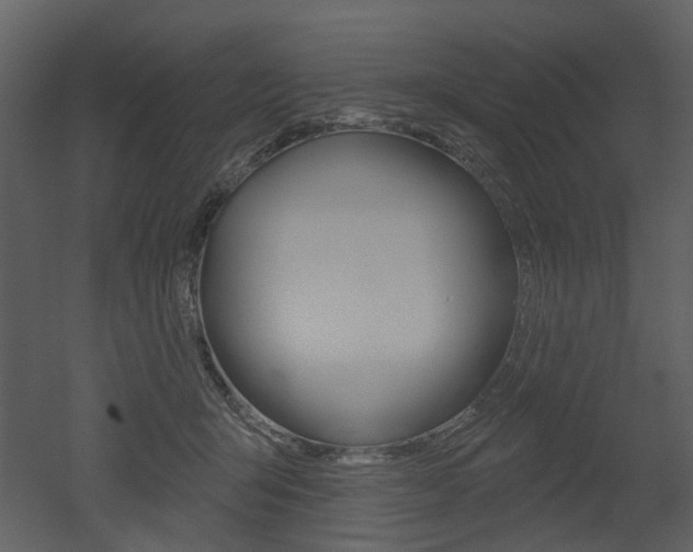 X0000052960415200507080901