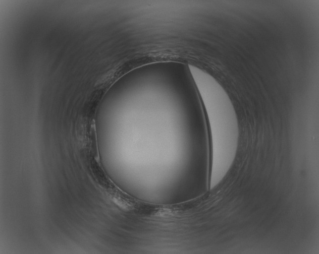 X0000052960416200507080901