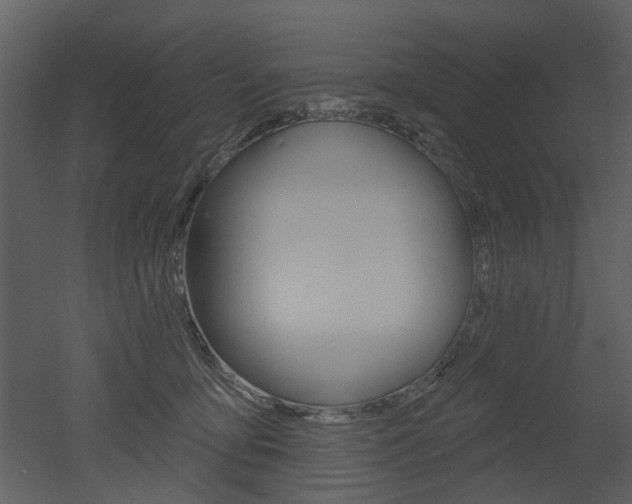 X0000052960419200507080901