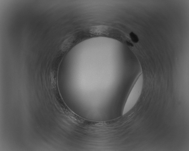 X0000052960420200507080901