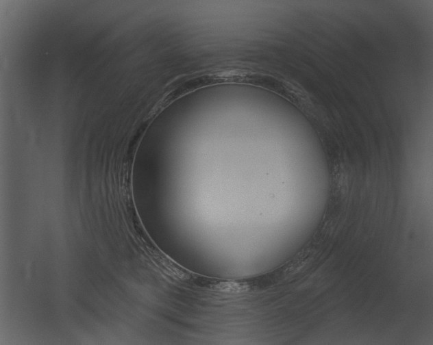 X0000052960421200507080901