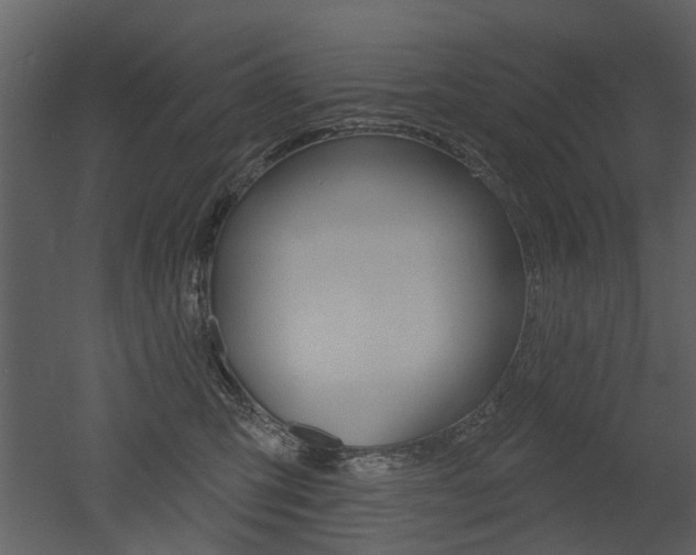 X0000052960423200507080901
