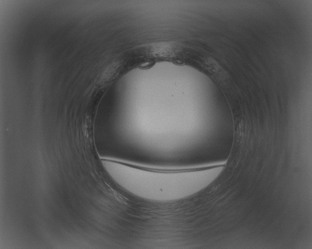 X0000052960424200507080901
