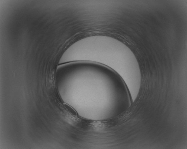 X0000052960425200507080901