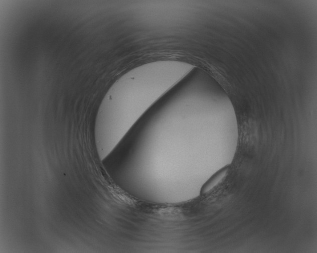 X0000052960426200507080901