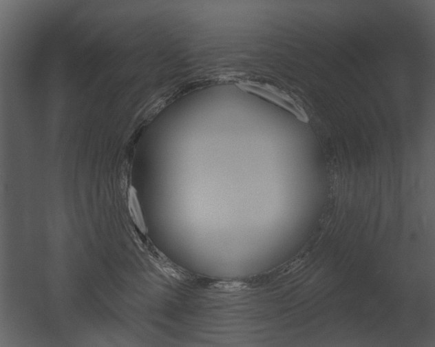 X0000052960427200507080901
