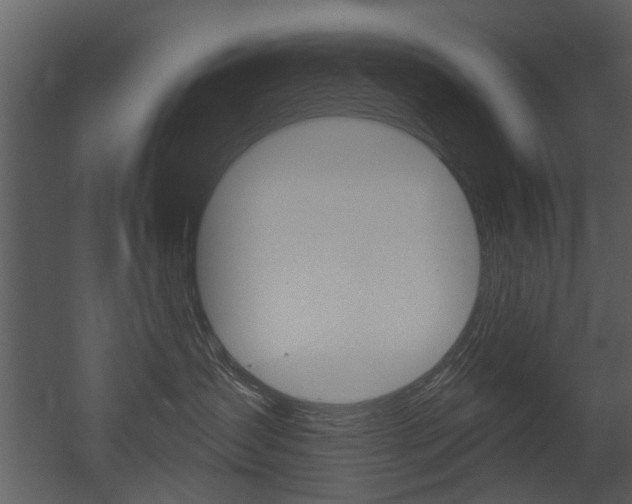 X0000052960431200507080901