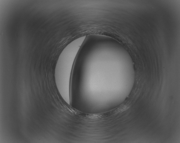 X0000052960432200507080901