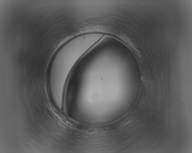 X0000052960434200507080900