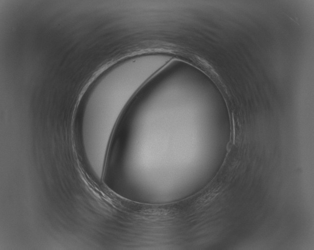 X0000052960435200507080900