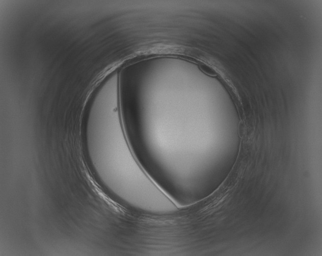 X0000052960437200507080900
