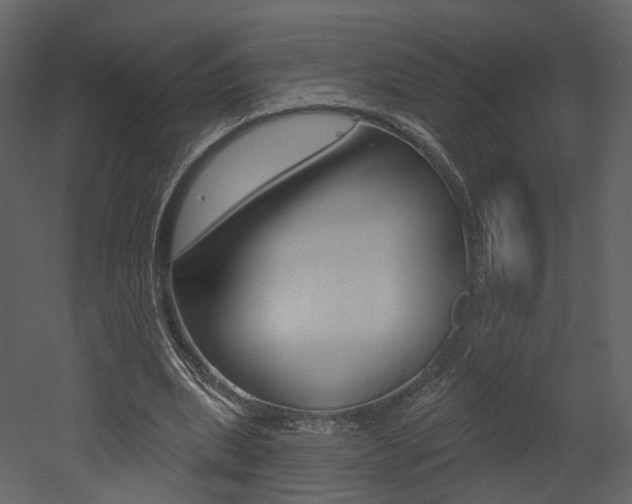 X0000052960439200507080900