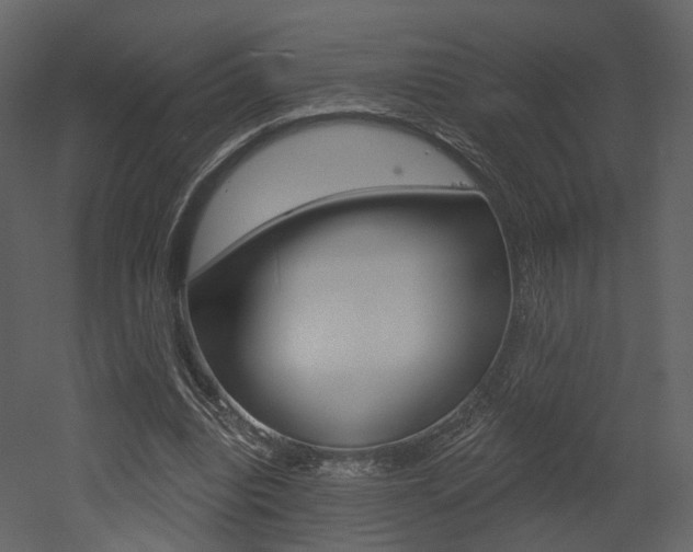 X0000052960440200507080900