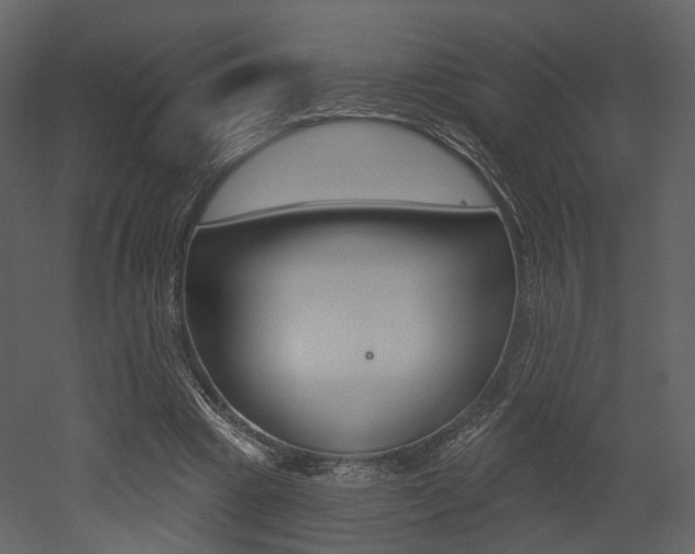 X0000052960441200507080900