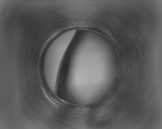 X0000052960443200507080900