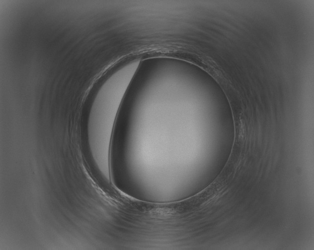 X0000052960444200507080900