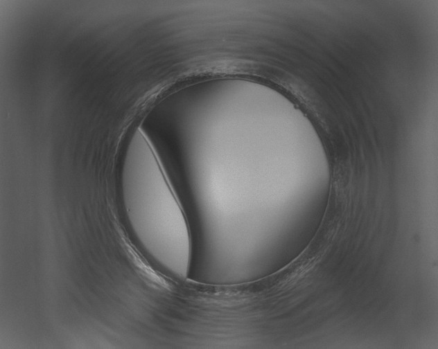 X0000052960445200507080900