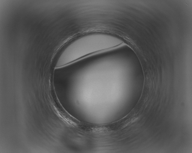 X0000052960446200507080900