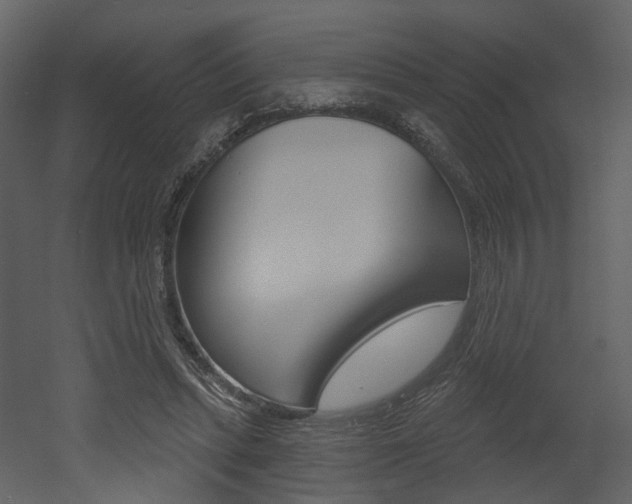 X0000052960447200507080900