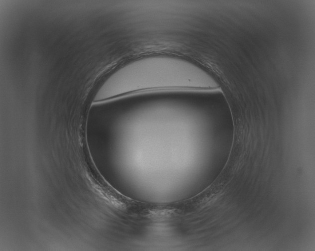 X0000052960450200507080900