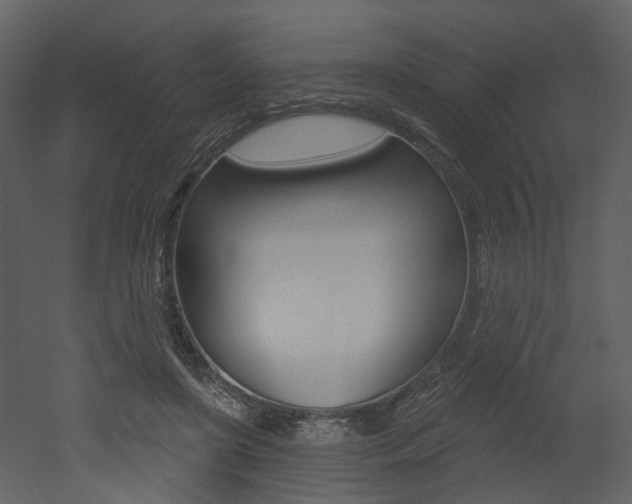 X0000052960451200507080900