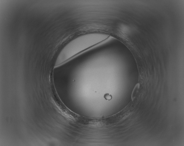 X0000052960454200507080900