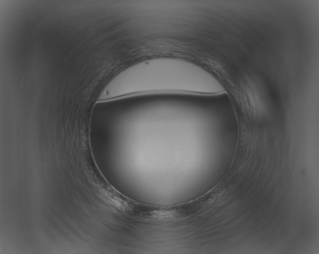 X0000052960457200507080900