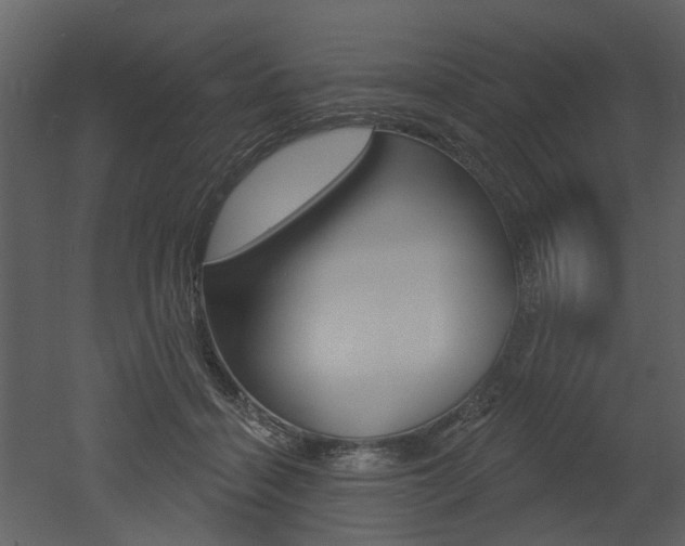 X0000052960460200507080900